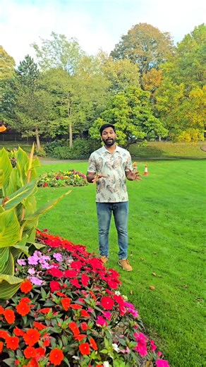 33K views · 1.7K reactions | അദ്ധ്വാനിക്കുന്നവരും ഭാരം ചുമക്കുന്നവരും ആയുള്ളോരേ, എല്ലാവരും എന്റെ അടുക്കൽ വരുവിൻ; ഞാൻ നിങ്ങളെ ആശ്വസിപ്പിക്കും. | agape magazine | Facebook