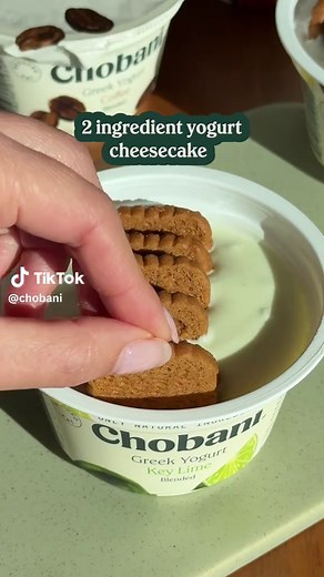 2 Ingredient Yogurt Cheesecake Recipe to Try at Home