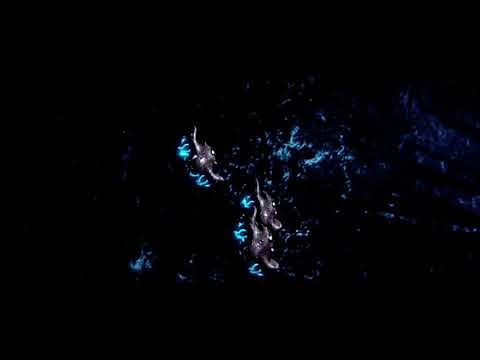Halo 2: Rtas 'Vadum's Speech