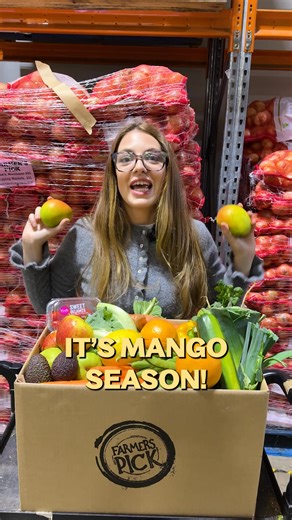 Mango season is finally here! 省 Be the first to enjoy fresh, juicy mangoes straight from the farm, now available in our fruit & veg boxes. These are the first of the season, bursting with flavor and handpicked just for you. We’re so confident you’ll love them, we’ll promise you a 100% money-back guarantee on your first purchase. Order your Produce Box today with Farmers Pick! | Farmers Pick | Facebook