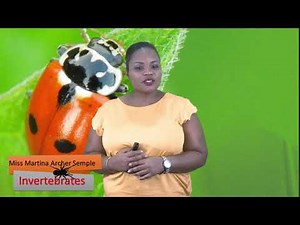 Science - Grade 6: Invertebrates