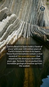89K views · 1.7K reactions | This Spanish beach holds physical evidence of the dinosaurs extinction. | Epochal | Facebook