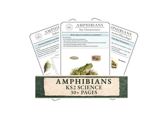 Amphibians Science Worksheets KS2 | Animal Science Study Unit 7–11 | Vertebrates Printable - Etsy UK