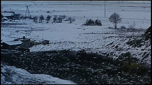 Three Colors: White - Trailer