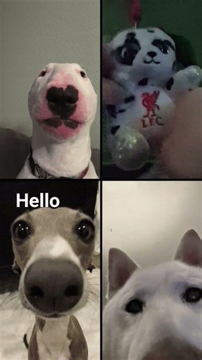 did i do good for my first time editing hello hello hello hi