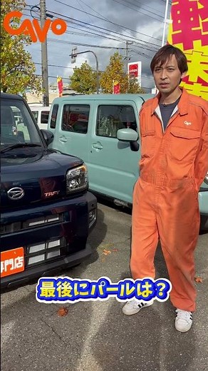 車の塗装の種類について💨