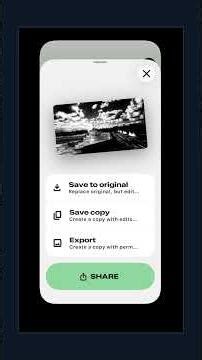 Snapseed Black & White on iPhone: Great Filters, No Background Removal