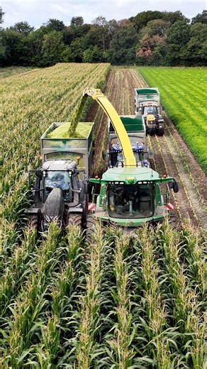 The John Deere 9900i forage harvester working in an field of maize | Pro Horizon Farming Content