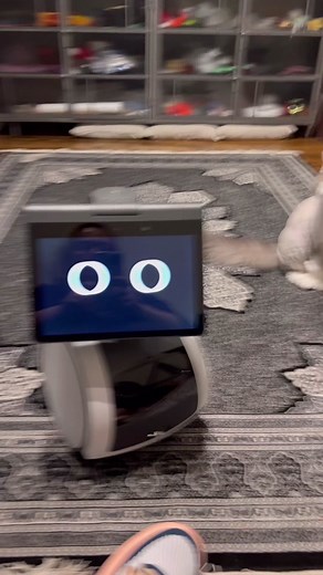 Astro the Robot Plays Hide-and-Seek with Curly Ferdi