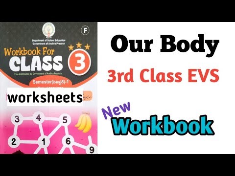 OUR BODY 3rd Class EVS workboook //worksheets