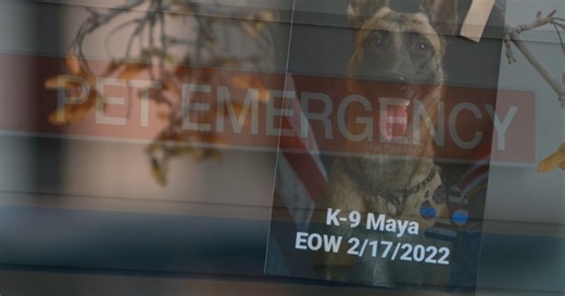 'She didn't deserve to die like that'; Veterinary tech describes K-9 officer’s final moments