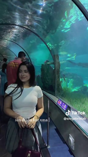 Explorando el Aquarium Barcelona: Una Aventura Submarina Única en 2024