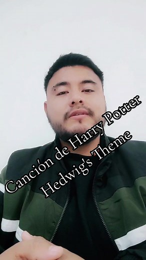 Canción de Harry Potter para Flauta Dulce