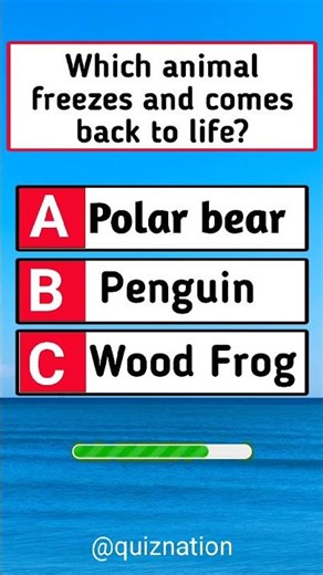 USA Quiz Challenge: Test Your Knowledge With This Question #usaquiz #funquiz #brainteaser #usafacts