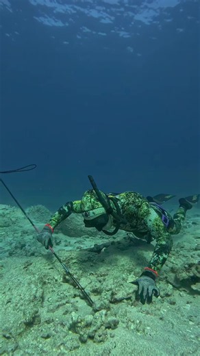 Spearfishing Life: Underwater Hawi Fishing Adventures