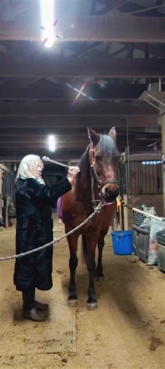 48Hz OTTO fork penetrates into bone for relief of arthritis. you can see his releases on his damaged S.I. stemming from being started too early by the buggy community. #horse #energywork #tuningforks #horsesontiktok #parasympatheticnervoussystem