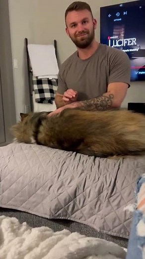 Guy is loving on his dog and becomes instantly embarrassed when he finds out he's being filmed!