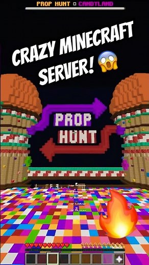 CRAZY MINECRAFT SERVER 😱