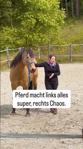 Why your horse is suddenly a different horse on one side 😳 #horsemanship #horsetraining