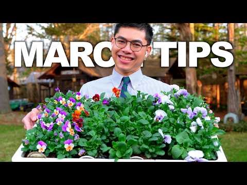 Seedling Care to Grow Stronger + March Gardening Tips