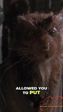 Mastering Splinter's Face: Controlling Emotions with a Stick! TMNT (1990) #shorts #movies #viral