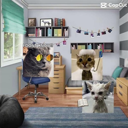 Me when I’m trying to do my homework