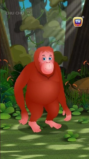 Endangered Animals Part2 #animalshorts #kidsshorts #kidslearning #orangutan #animals #kidsfun #funny