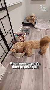 48K views · 407 reactions | Look at these clean guys! ✨粒 | Try Not to Laugh | Facebook