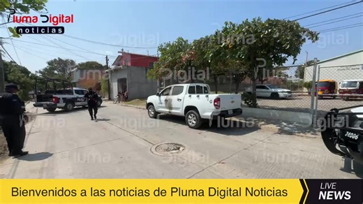 Pluma Digital Noticias's broadcast | Pluma Digital Noticias