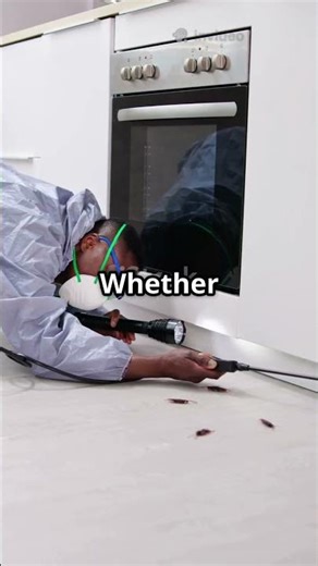 🐜 Commercial Pest Control Laurel, IN | ProGuard Pest Solutions – 24/7 Emergency Service