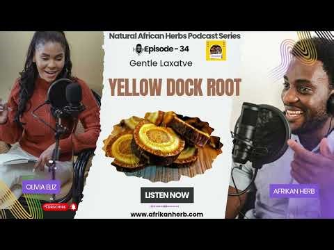 The Power of Yellow Dock Root for Natural Relief Revealed!!