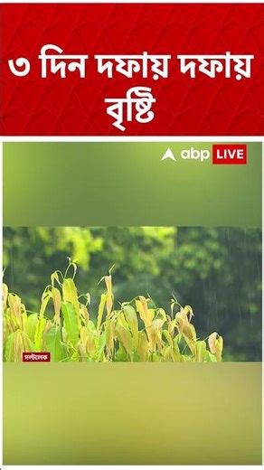 ৩ দিন দফায় দফায় বৃষ্টি ? কোন কোন জেলায় ? #shorts । Weather News