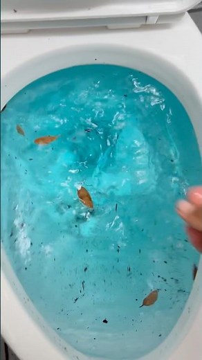 2025 glacier bay dual flush toilet siphoning out with light blue water!!!