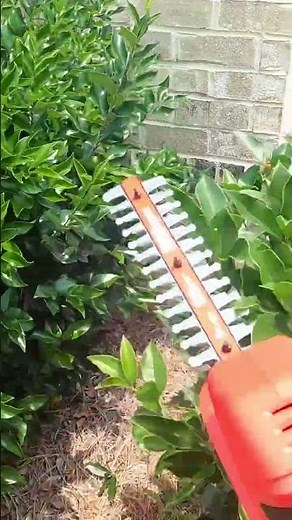 #craftsman V20 8” HANDHELD TRIMMERS #hedgetrimming