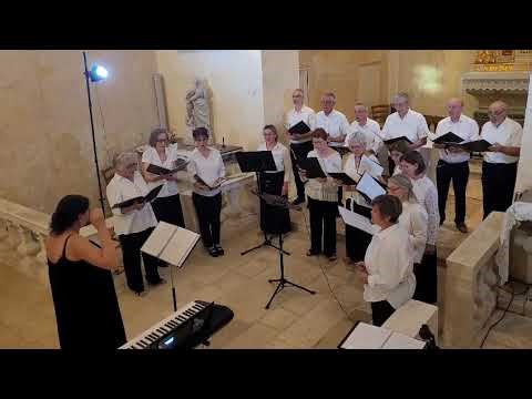 V sirom barou tropina