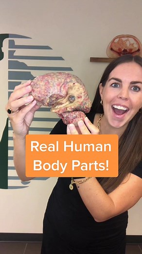 REAL HUMAN BODY PARTS! 🧠🫁🫀 @experienceanatomy #humanbody #learnontiktok #science #anatomy