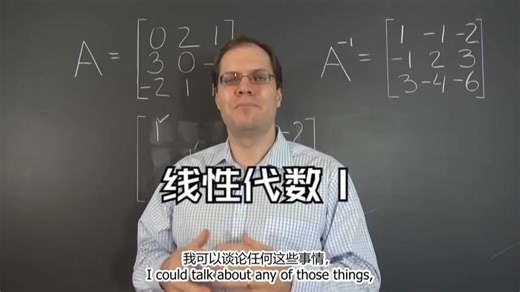 线性代数Ⅰ（ 相当于国内本科内容） Linear Algebra Ⅰ