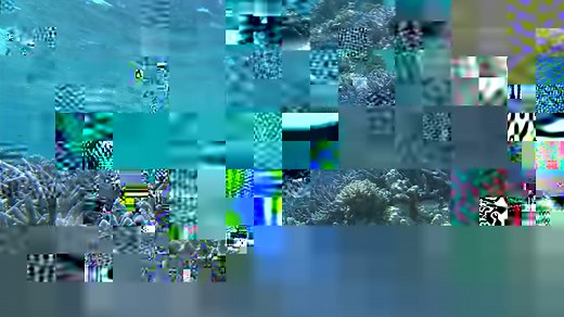 Are you an Ocean Lover? Can you pick the Friends and Foes of the Great Barrier Reef? Take the 30-second quiz to find out. | Great Barrier Reef Foundation