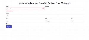 Angular Reactive Form Set Custom Error Messages Working Example - Therichpost