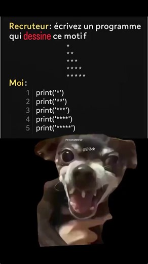 😂😂😂😂😂 #programmation #coding #VibeCoding #fypシ゚ | 𝙿𝚛𝚘𝚐𝚛𝚊𝚖𝚖𝚎𝚞𝚛