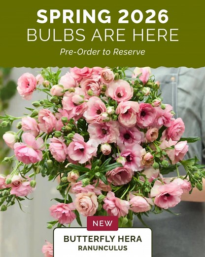 Spring fever got ahold of you?🌷 Pre-order your spring bulbs now and be ready to plant the moment warmer weather arrives. 🌷 Easy To Grow & Maintain 💐 Hundreds of Colors & Varieties 🪴 Long, Colorful Bloom Season Secure your new favorites today! | Eden Brothers