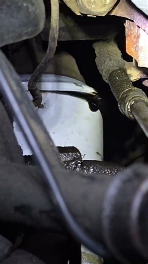 Is anyone else having problems with ford motorcraft filters? 2nd one failing in as many months.