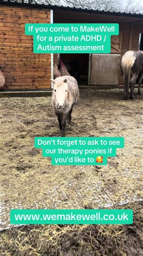 Private ADHD and autism assessments in UK. Therapy ponies onsite