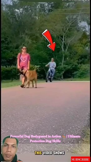 Powerful Dog Bodyguard in Action 🐕‍🦺 | Ultimate Protection Dog Skills #dogtraining #k9master