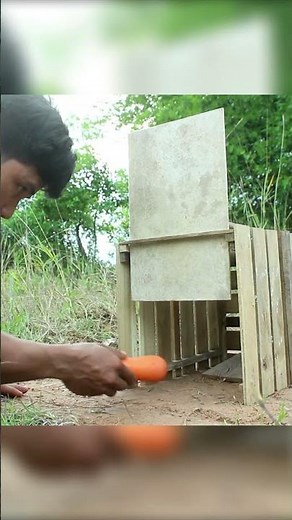 Rabbit Trap in the Jungle 🌿 | Primitive Survival Skills 🪤 Quick Build