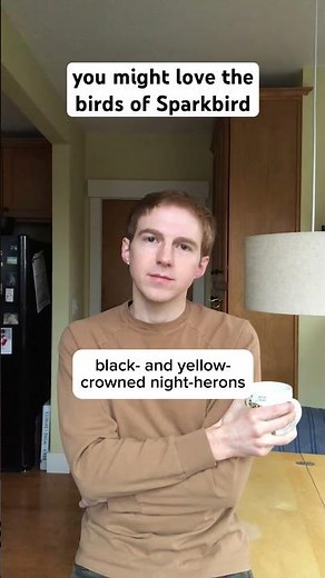 🎶: Arboretum by Sparkbird (and Pelicans We by Cosmo Sheldrake!) #birds #herons #indiemusic
