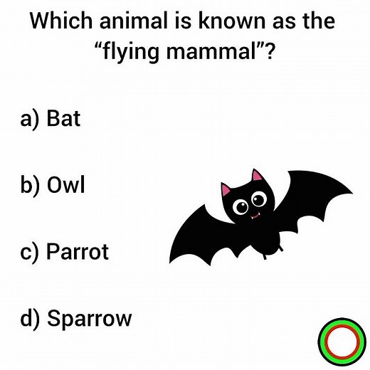 science gk questions and answers #generalknowledgequestions #science