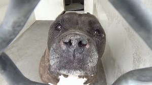 41K views · 3.6K reactions | A4970543 ✰ KIMO -4/19/19- SENIOR...