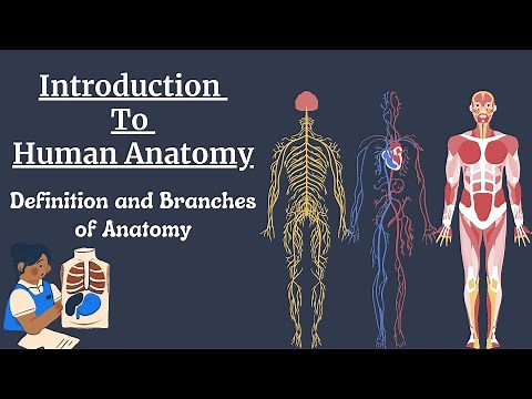Anatomy Definition and Branches of Anatomy | General Anatomy
