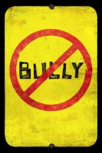 Bully (2011) Streaming - Where to Watch Online